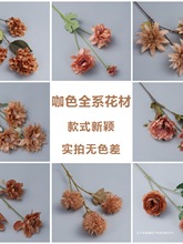 ��c��ˇ�ٻ�õ��ĵ����͹���ɫ��Y���b�·�������ȼ���