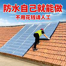 ��ճ������ë�ֲ����Nճ����a©����SBS�r���߸�����z��