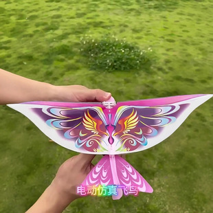 �羳ͬ���̖�����w�B��Ƥ�����؄����w�B���w���B�����B�������