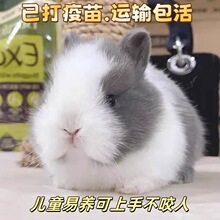 С���ӻ���٪�����L��������С�͹������m�����ò豭�ü��B������