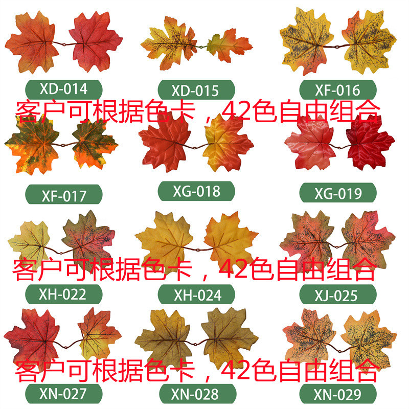 Color card (2)