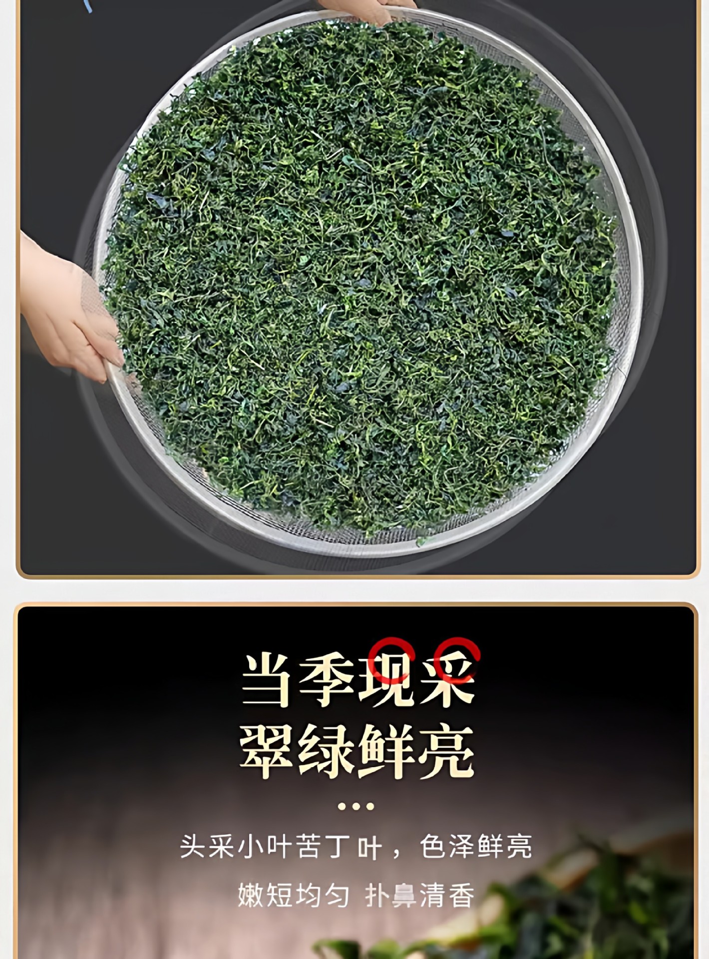 Fermented Small Leaf Kuding Tea Tender Buds Guizhou Yuqing Bitter Tea Loose Leaf 175g quality and texture