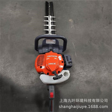 WHC246PpоGhCOleo-Macֱֳy޼C