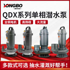 QDX潜水泵220v井水农用灌溉抽水泵2寸3寸4寸抽水机深井泵自吸
