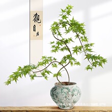 ��Ȫ���辰�b�����Ȫ�������̨�҃ȶU�����P�����k����