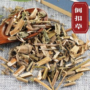 ���۲���ș�� ���۲�Ұ�����۲���ţ�ߵ��h��ţϥ��ţϥ�^ ��؛