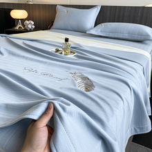 2024新款云母凉感丝毛毯夏季薄款竹纤维盖毯空调沙发毯轻奢高级感