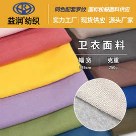 现货250g纯棉毛圈纯棉毛圈春秋季刷毛食毛卫裤面料鱼鳞布面料批发