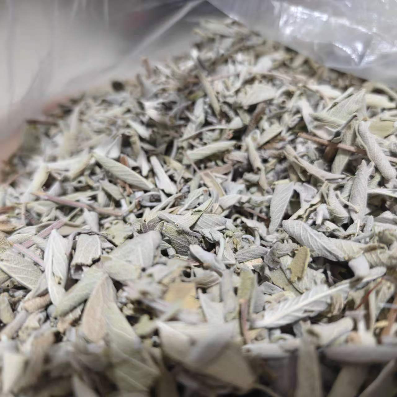 500g Daun Rumput Putih Murni