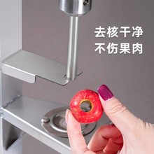 山楂去核机冰糖葫芦红果金星油柑去核机器商用杨梅去籽芯器无