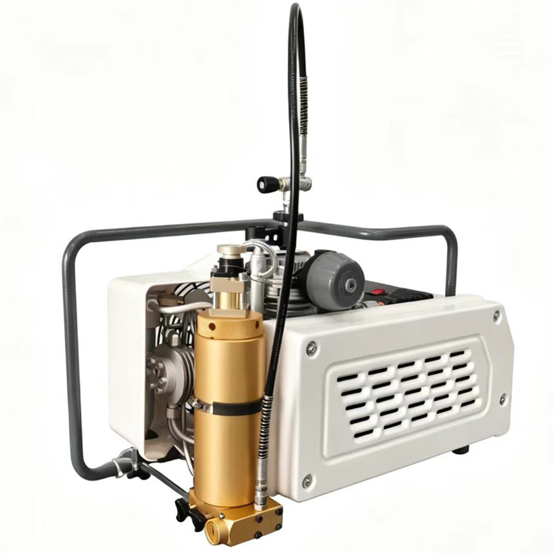 Bs-W100Em Portable High Pressure Air Compressor Rescue Diving Breathing Apparatus Firefighting Air Filling Pump