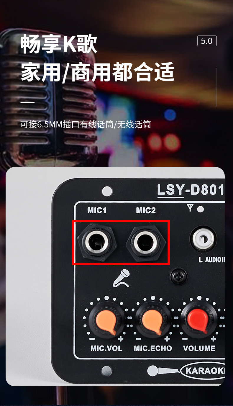 D802 Digital Amplifier Board for Home and Car Subwoofer, Amplifier Board, Amplifier Motherboard, Clear Sound Quality, Audio-Visual Module