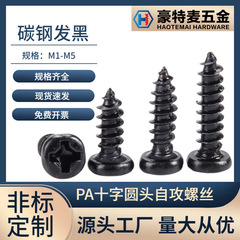 PA黒色十字丸頭タッピングねじm 1m 2m 3m 4m 5盤頭タッピング小ねじ精密炭素鋼小ねじ