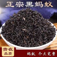 [] Λρ LɽΛρ Λρ  ݾ Λρ