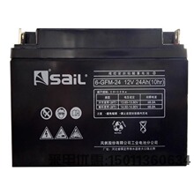 SAIL�緫����6-GFM-24 12V24AH����ҽ��ͨѶֱ����UPS EPS��Դ