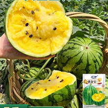 �S�������ϷN�������S�ı�Ƥ�����S����Ƥ�����r������ˮ���N��