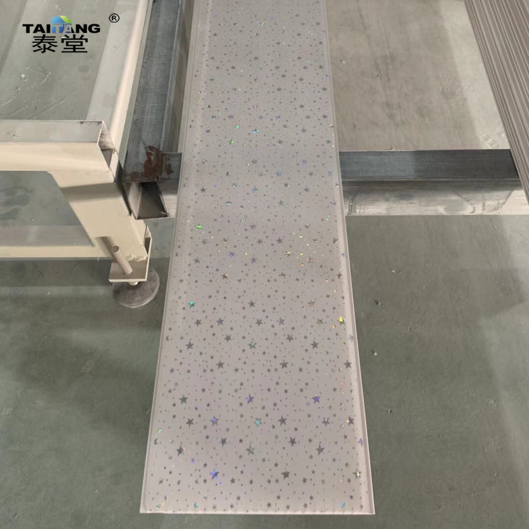 Pvc False Ceiling Plates Sky Razo Pvc Techo Interior Pvc