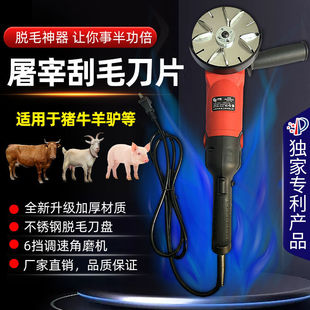 Ó�iţ���Hë�������n�{�ٲ��P䓵��P��ƬȥëÓë�C����������