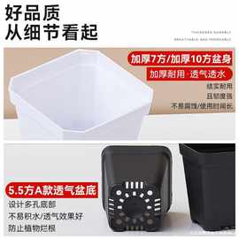 透水透气八角盆小白方塑料方形植物叶插育苗盆黑方盆