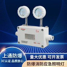 集中电源控制型应急照明双头灯  消防led灯 批发壁挂式安全出口灯