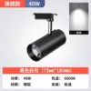 [黑壳-白光_升级加亮款40W【1只装】]