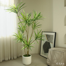 Gֲǧľ¿p҃ȿ͏db[پGֲƵO