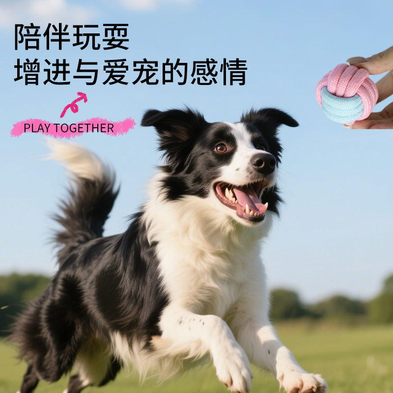 新品马卡龙色粉嫩小幼犬宠物棉绳玩具套装居家户外互动啃咬玩具球|undefined