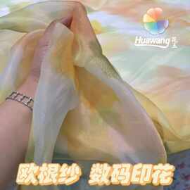 热转移数码印花面料 厂家涤纶碎花面料印花布料 欧根纱汉服雪纺