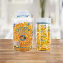 ���S���ϰ������~�;SEܛ�z�� �o����Ѫ֬������������ 300��