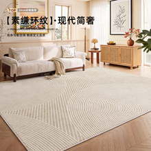 小众线条设计感地毯客厅沙发茶几毯家用卧室床边毯防水防污易打理