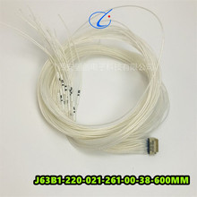 J63B1-220-021-261-00-38-600MM�Ӳ��21о���κ�����Ʒ�N��
