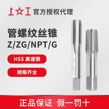 �Ϲ�55&deg;�A�F���ݼy�z�F ZG�z�F ZG1/8-28~ZG2-11 HSS