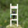 Black cat climb stairs