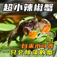 ����з����з���w�����з�^�pз���x���嵭ˮз�~�����еח�����
