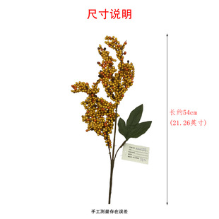�S�����l�}�Q���h�ٗl�b�Ʒ�t���lؔ��С�t��������Ӷ����