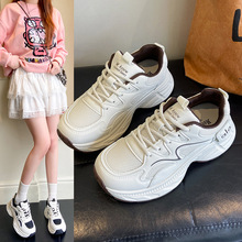 �φ�2801�����p�ݸ�Ʒ�|���w�p�W͸���ϵ�Ь���pŮЬ�ļ��\�ӑ���