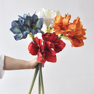 ��������m��피t��Y�bٻ��Ĕz���ߏ͹���ɫ�����m�ٻ����滨