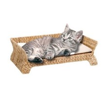 㽶~ɳlﴲ؈Ҿ؈؈شϴމ|