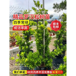 һ�����l�_�h�ɘ����辰С�~ȸ������ͥԺ���Ե��Դ�����͘䘶��