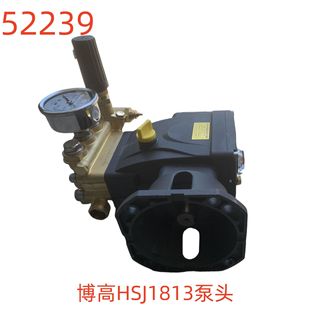 Pogor HSJ1813 Head-No. 52239