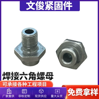 定制异形螺丝不锈钢螺丝 外六角嵌件预埋不锈钢螺母 通孔盲孔螺母