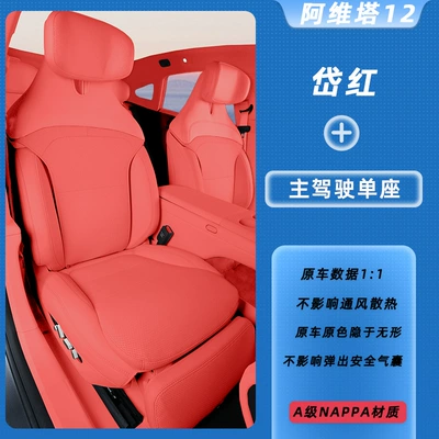Models of Avita 12 Seat Cushions, Modelə uyğun (Original) oturacaq örtükləri - daihong-main-driver-single-seat-avita-12-special-car