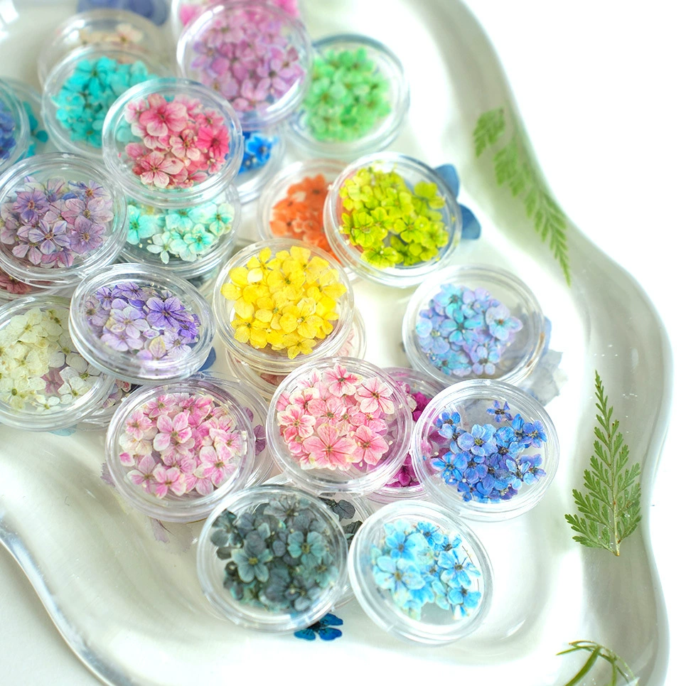 Cuizhu Little Packaging Японский стиль мини-маникюр