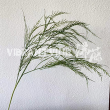 ����Gֲ�J�����҃��쾰��Y�Ĕz���߼Ҿ�ܛ�bֲ���ˇ�~�����l