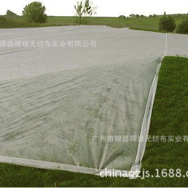 厂家直销农用作物用布PP丙纶纺粘无纺布pp不织布水果套袋透气轻便