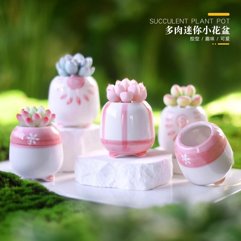ミニ親指盆青花日韓かわいいシンプルな手描きの洗練された小さな植木鉢育苗制御型生石花陶磁器盆|undefined