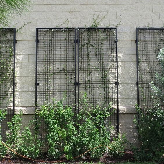 垂直绿化网3d屋顶绿植攀爬架公园园林护栏网3d围网防腐耐用铁丝网