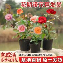 �¼�����õ��С���ļ��_���̨���Ի���ͥԺ���پGֲ����ٱ��Nޱ