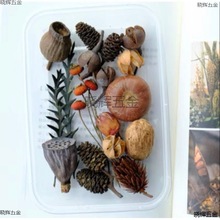 ɹb[diyɻɹb}Q~׃@͹ŵ߽MľƬ