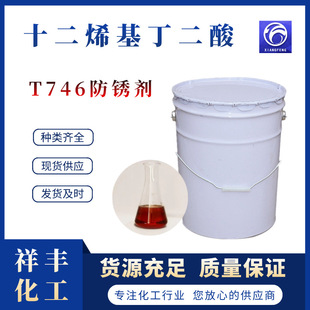 ʮ��ϩ�������� ���S�F؛���������ӄ����P���g�� T746���P��